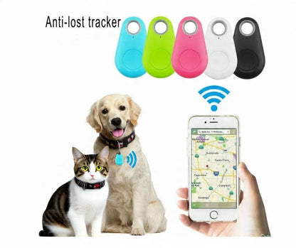 PawCare Pro